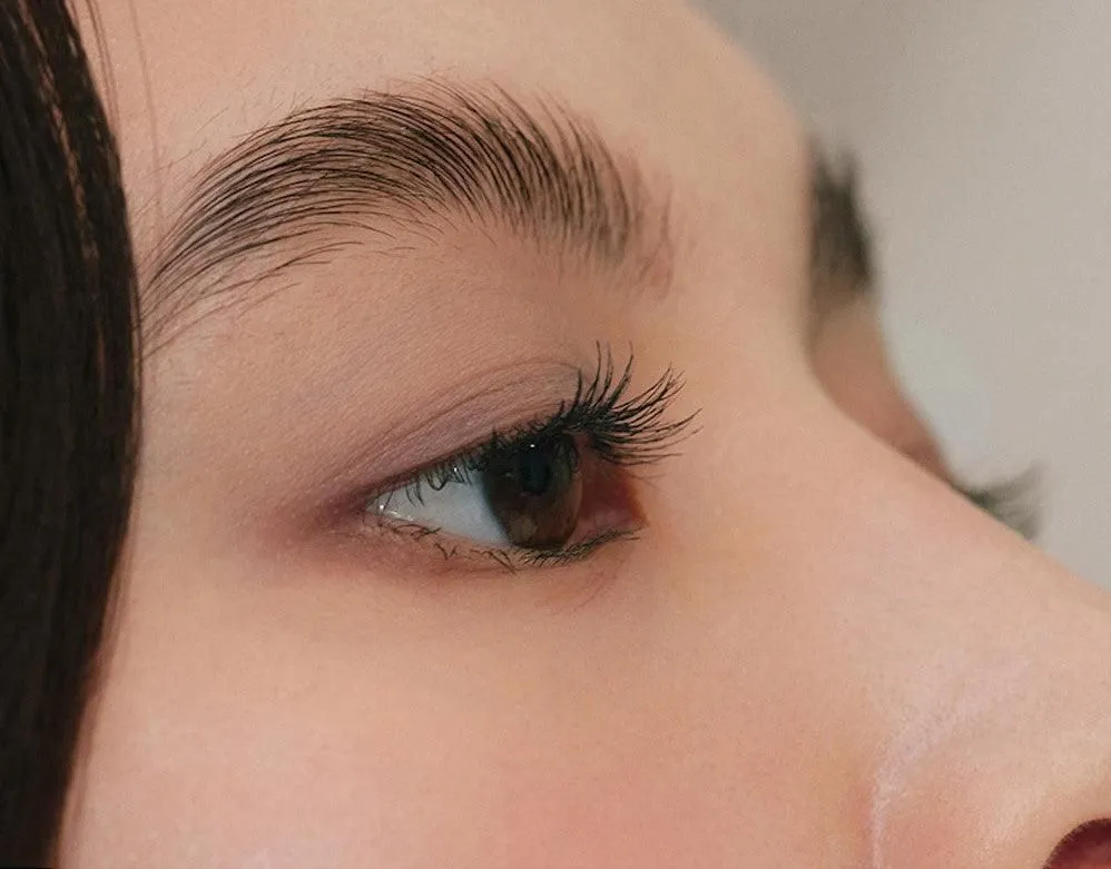 hince New Ambience Curling Mascara 8ml