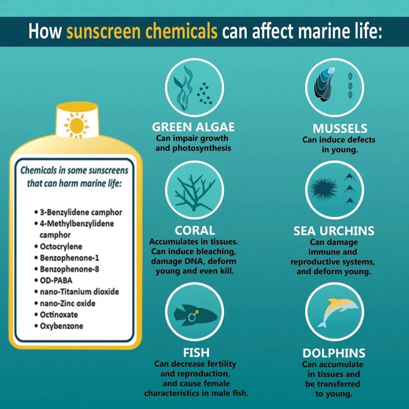 Vegan Mineral Suncream SPF30 - 60ML